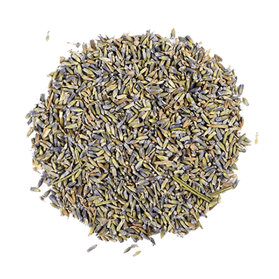 Lavender Flower Herbs